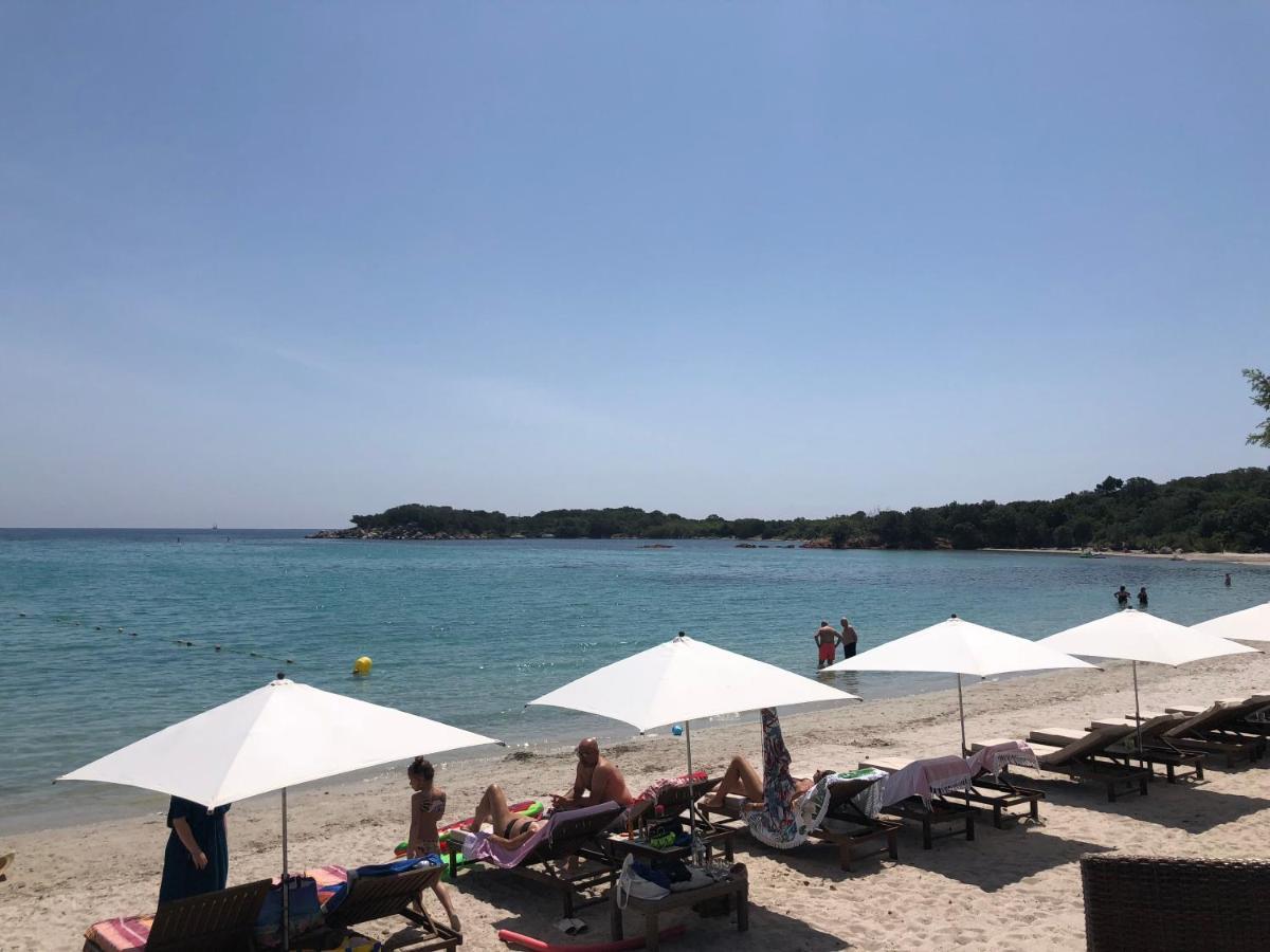 Villa Calme Luxueuse Et Proche Plage Saint-Cyprien 里奇 外观 照片