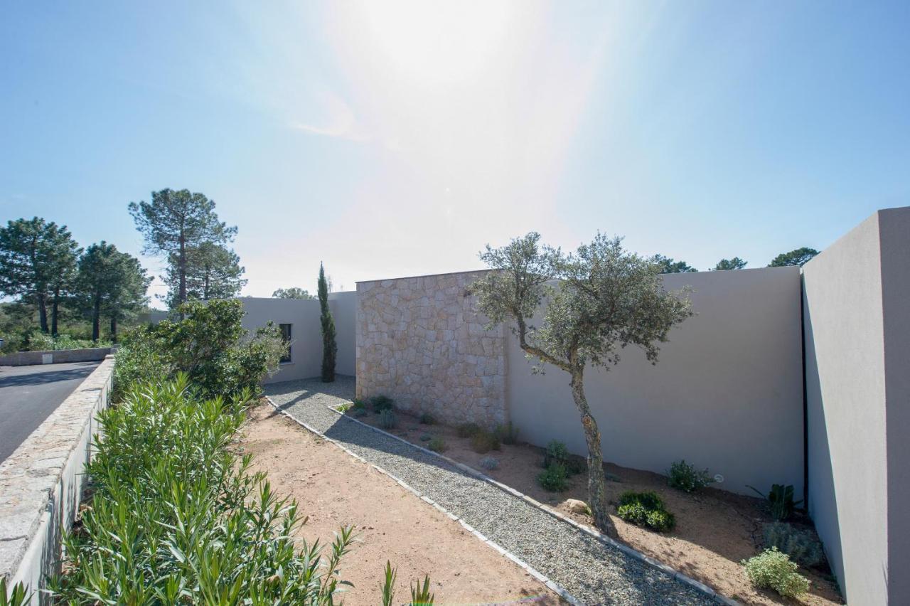 Villa Calme Luxueuse Et Proche Plage Saint-Cyprien 里奇 外观 照片
